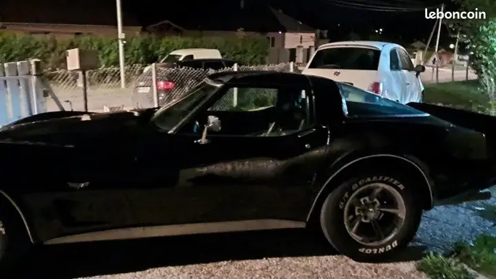 Chevrolet Corvette 1979 photo 3
