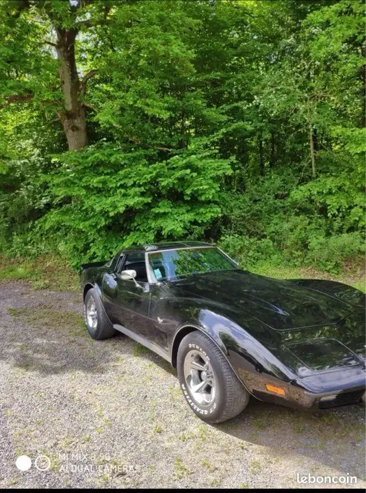 Chevrolet Corvette 1979 photo 2