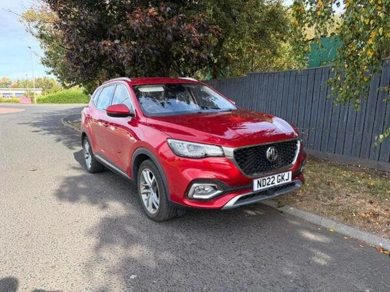 MG Hs