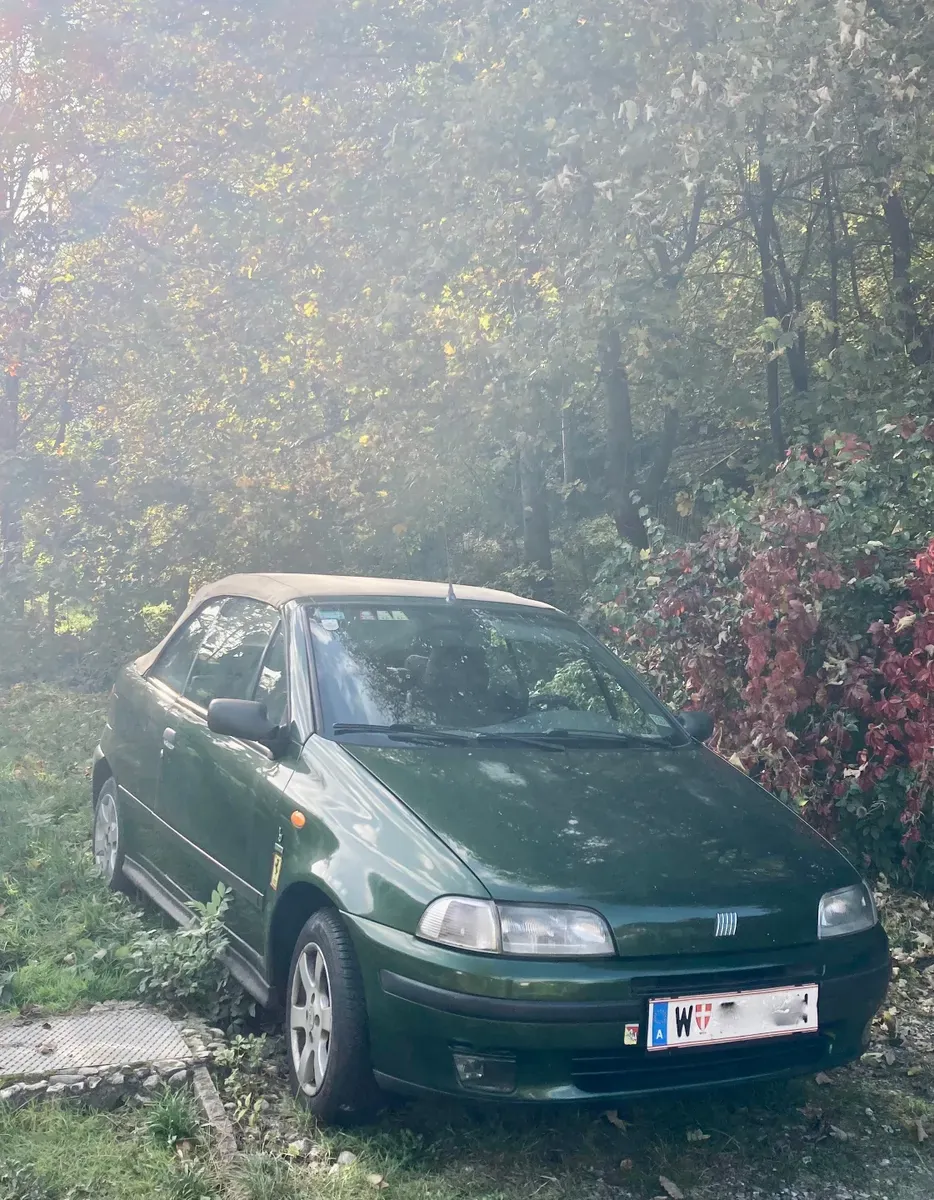 Fiat Punto 1995 photo 3