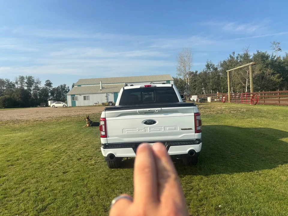 Ford F-150 2022 photo 4