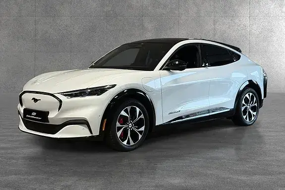 Ford Mustang Mach-E 2021 photo 3
