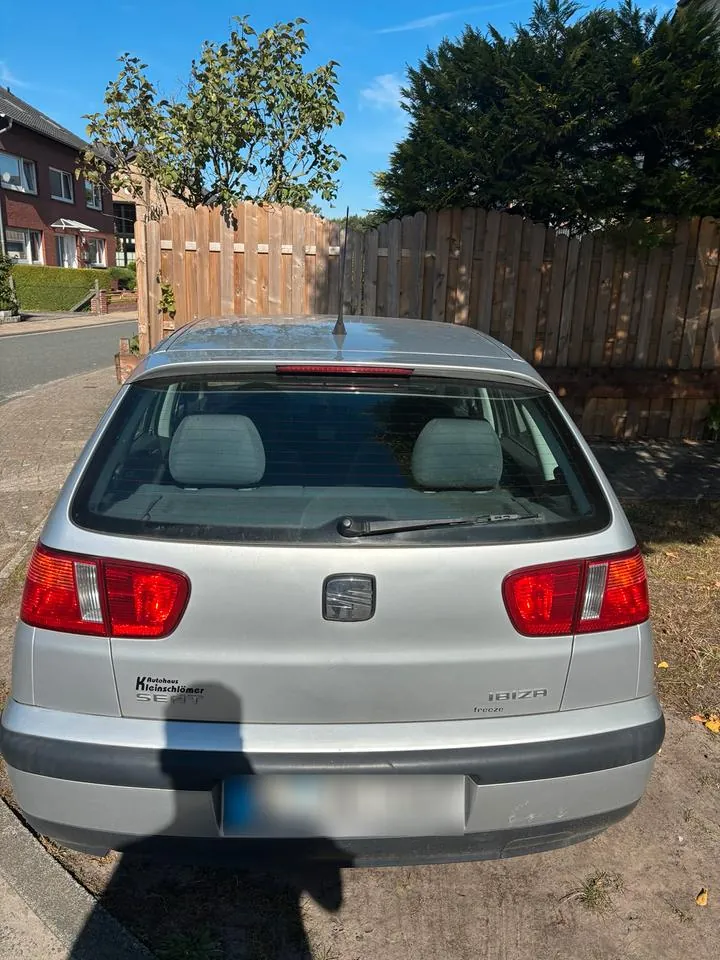 Seat Ibiza