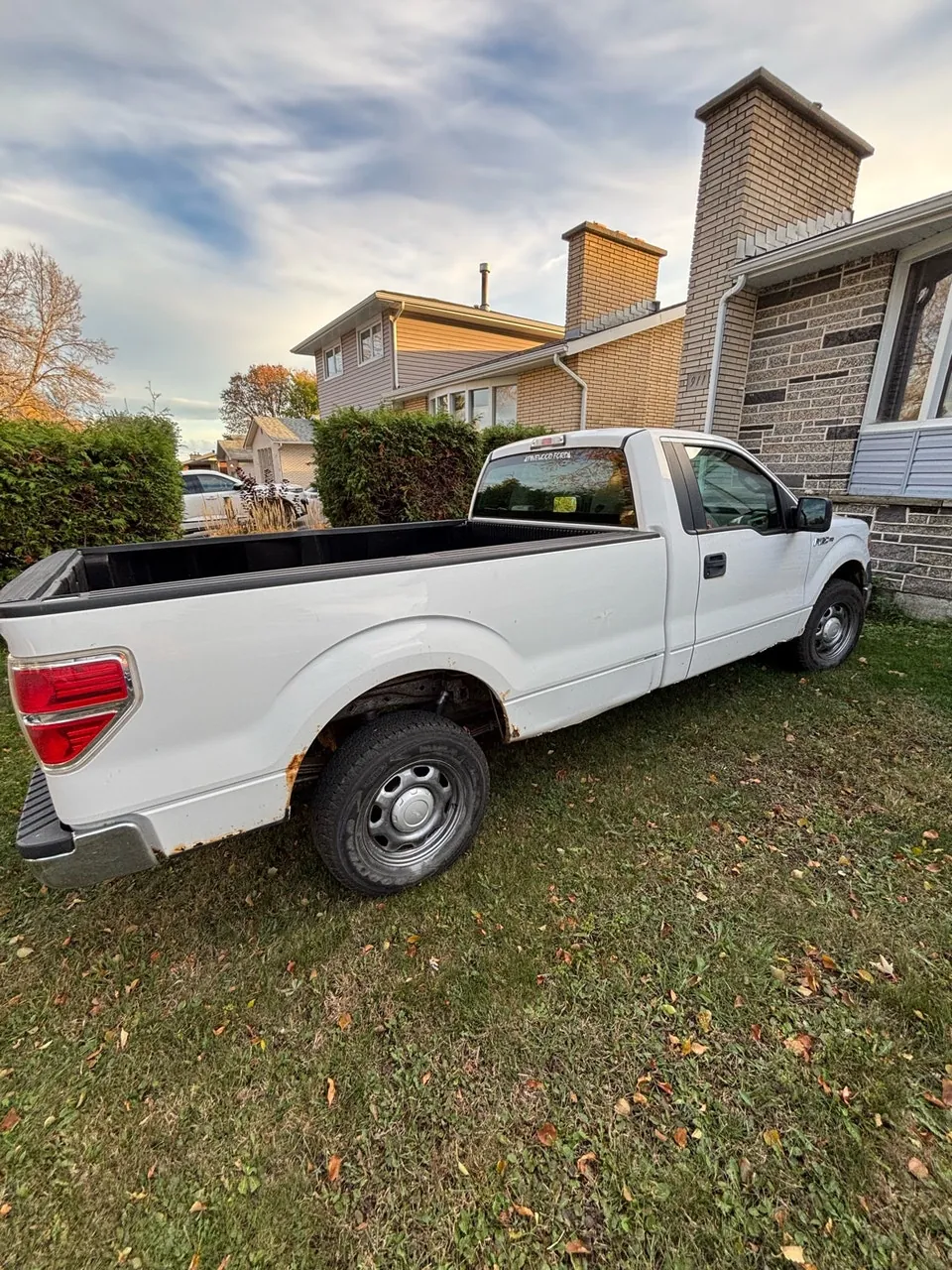 Ford F-150 2010 photo 3