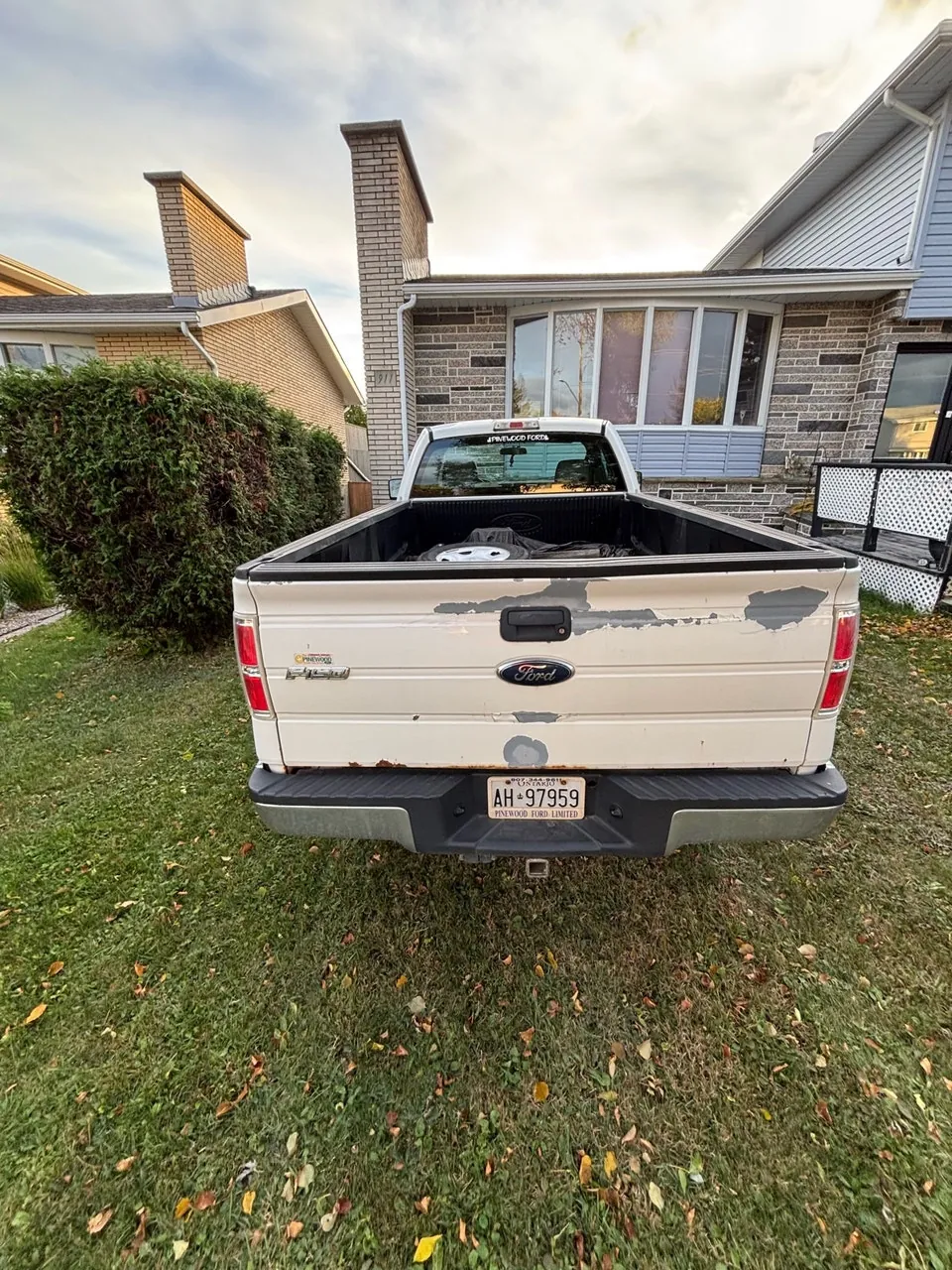Ford F-150 2010 photo 4