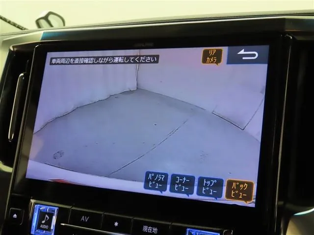 Toyota Alfaard 2019 photo 4