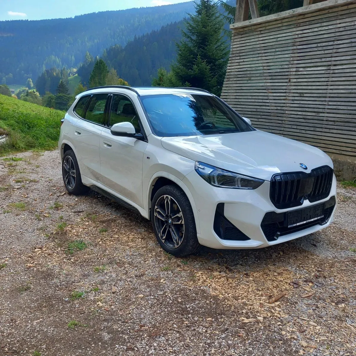 BMW X1