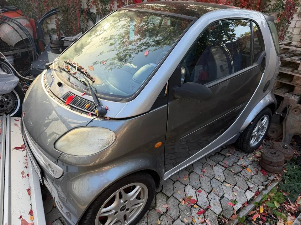 Smart 2001
