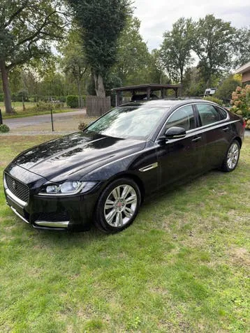 Jaguar Xf 2016 photo 3