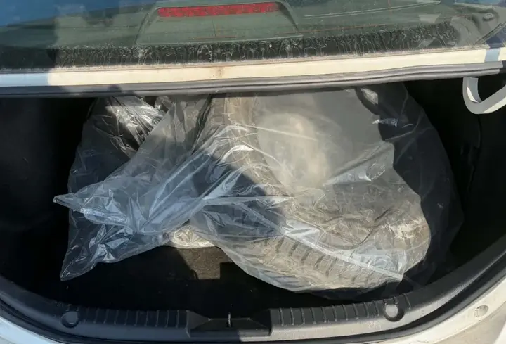 Mazda Mazda3 2015 photo 3