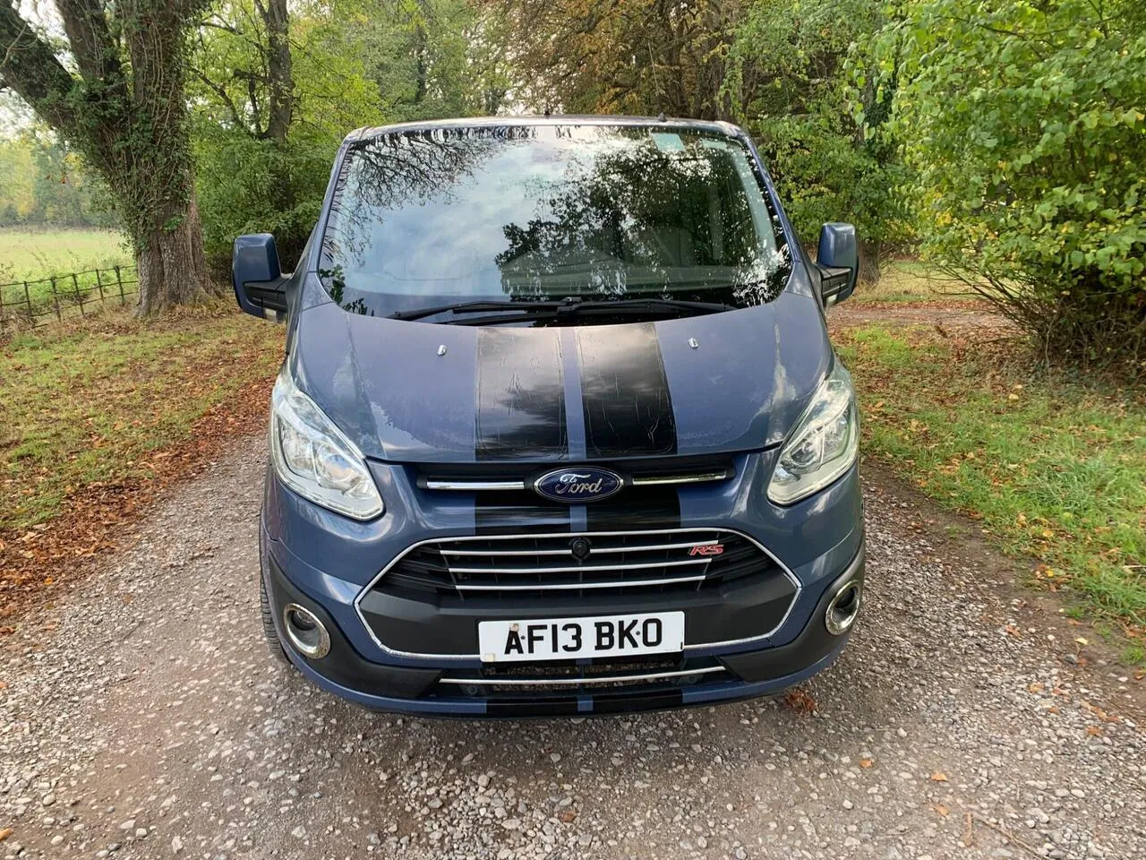 Ford Tourneo Custom 2013 photo 2