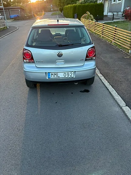 Volkswagen Polo 2008 photo 3