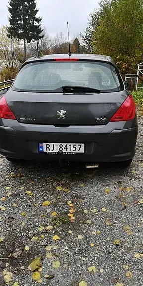 Peugeot 308 2008 photo 3