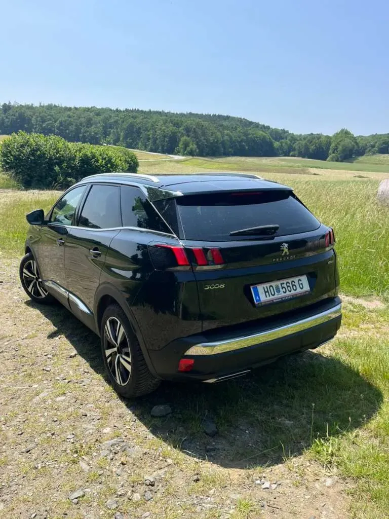 Peugeot 3008 2019 photo 3