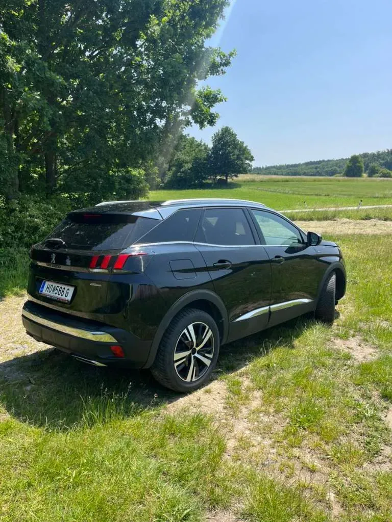 Peugeot 3008 2019 photo 2