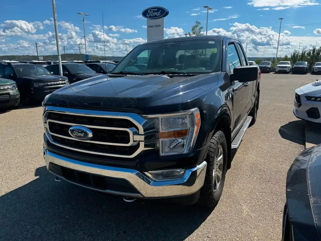 Ford F-150 2021 photo 3