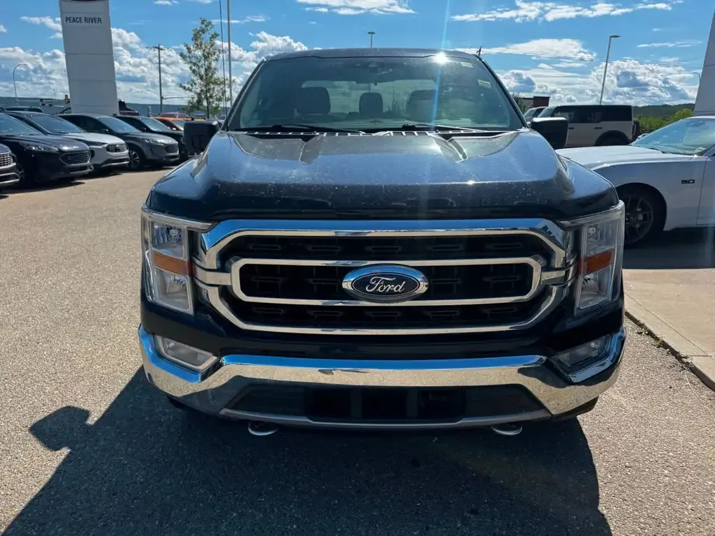 Ford F-150 2021 photo 2