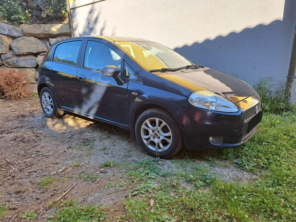 Fiat Punto 2008 photo 2