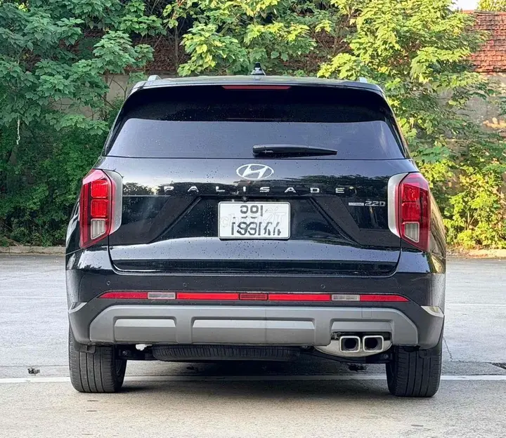 Hyundai Palisade 2023 photo 4
