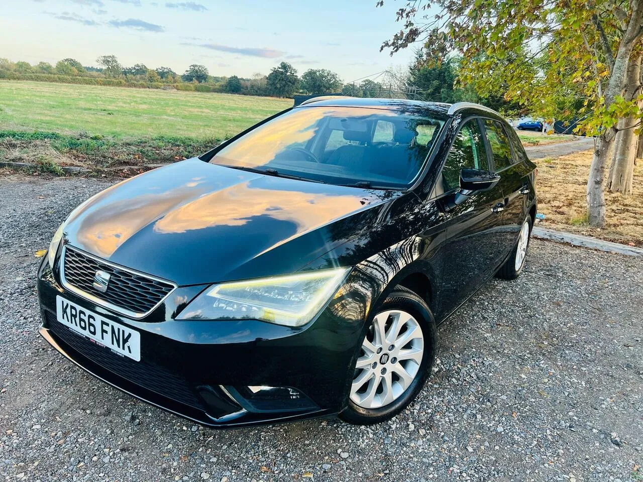Seat Leon 2016 photo 5