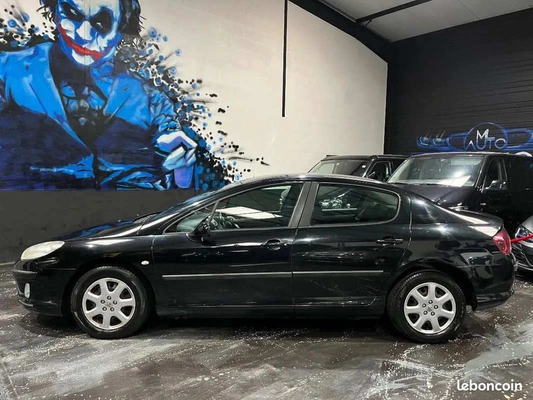 Peugeot 407 2007 photo 5