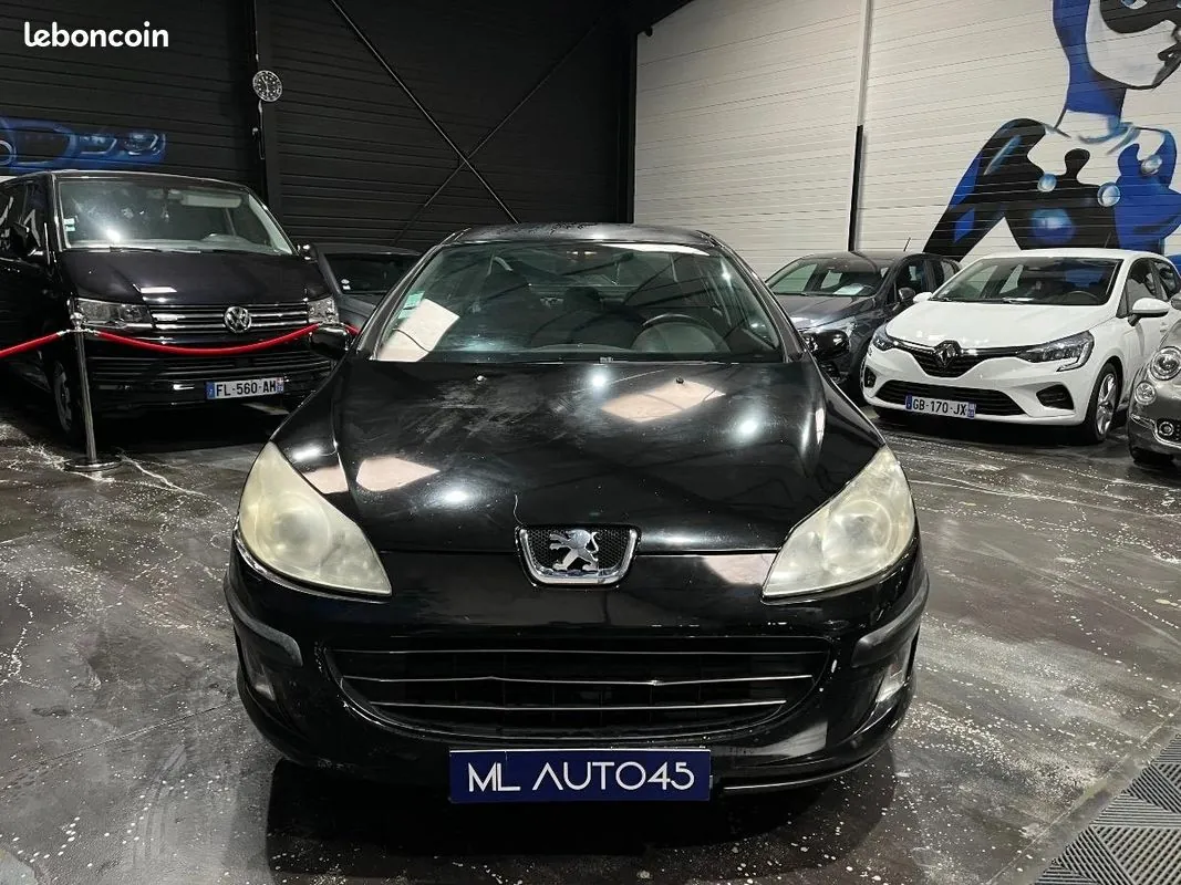 Peugeot 407 2007 photo 2
