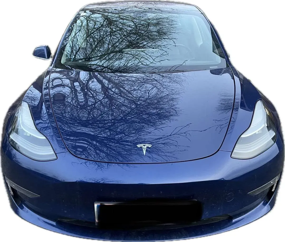 Tesla Model 3 2019 photo 3