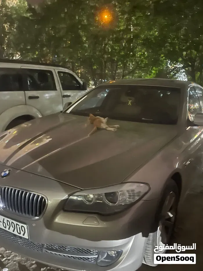 BMW 5 Series 2013 photo 5