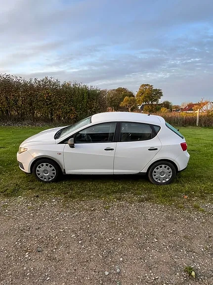 Seat Ibiza 2009 photo 3