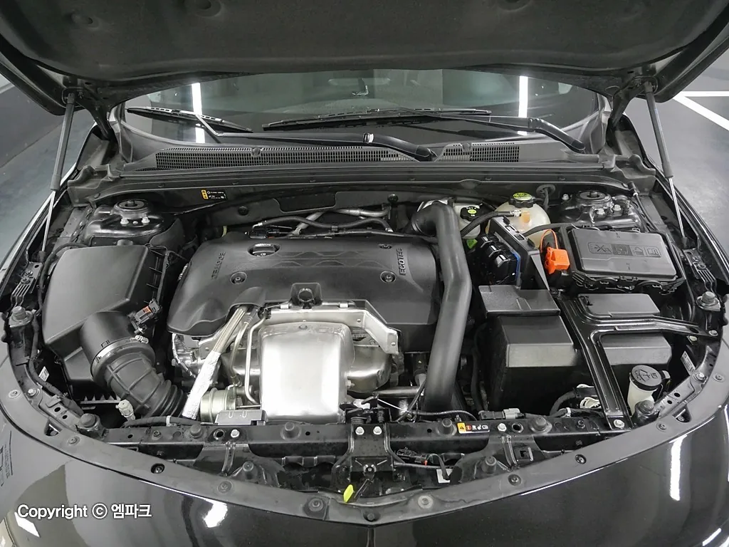 Chevrolet Malibu 2019 photo 5