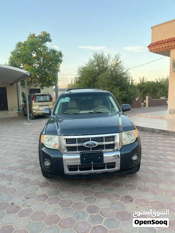 Ford Escape 2010 photo 2