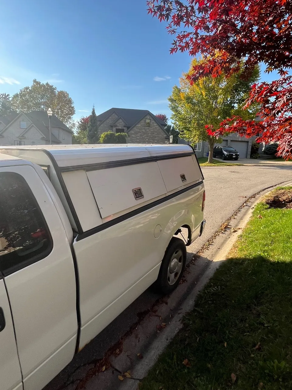 Ford F-150 2008 photo 2