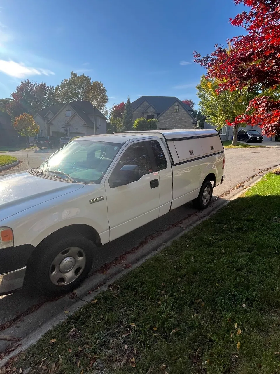 Ford F-150 2008 photo 3
