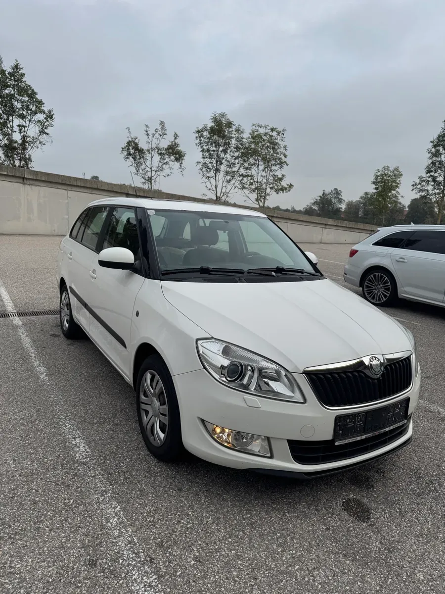 Skoda Fabia 2010 photo 2
