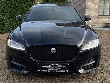 Jaguar Xf 2019 photo 2