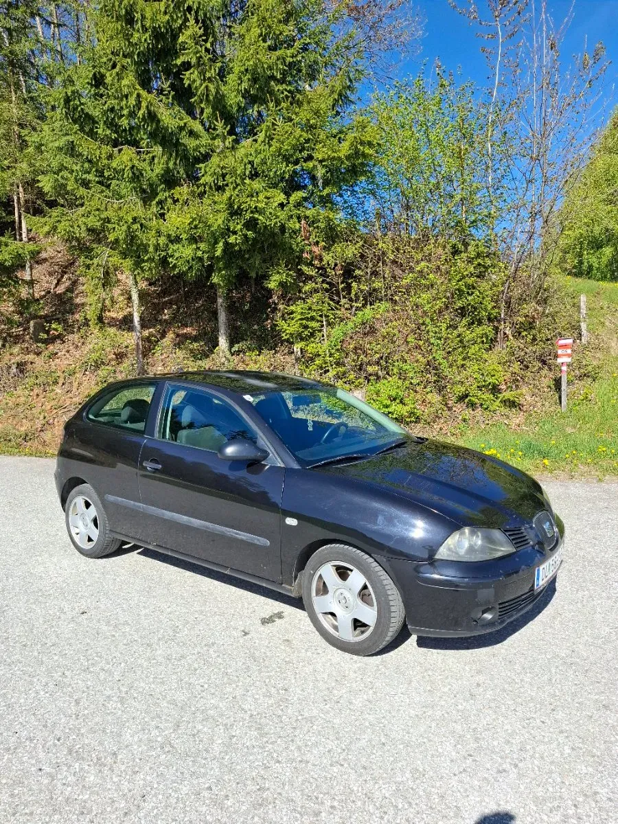 Seat Ibiza 2002 photo 3
