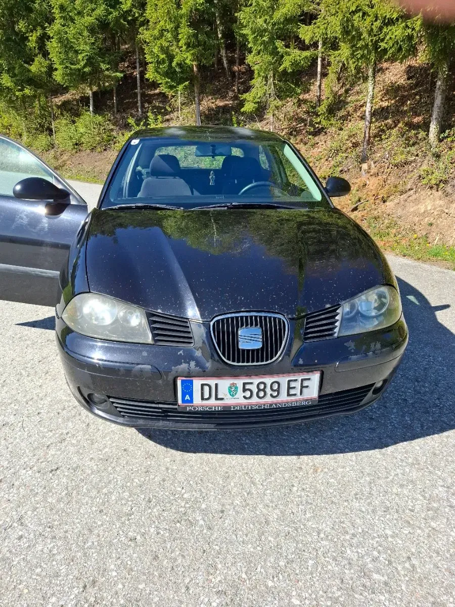 Seat Ibiza 2002 photo 2