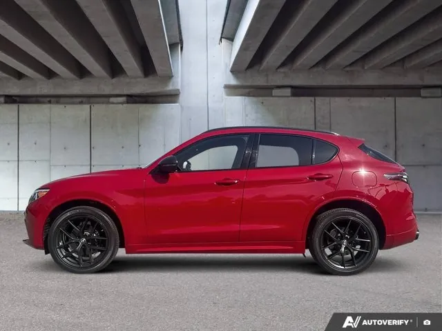 Alfa Romeo Stelvio 2021 photo 2