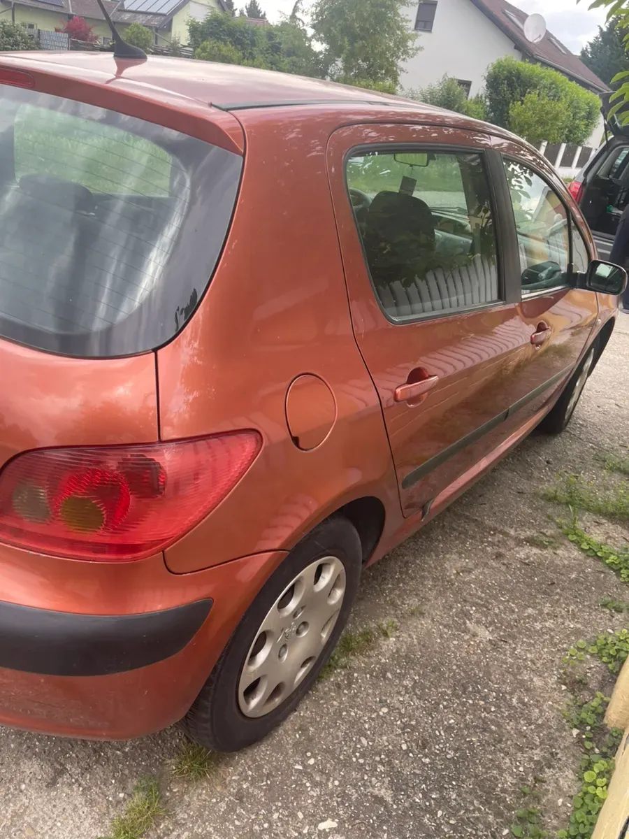 Peugeot 307 2002 photo 2