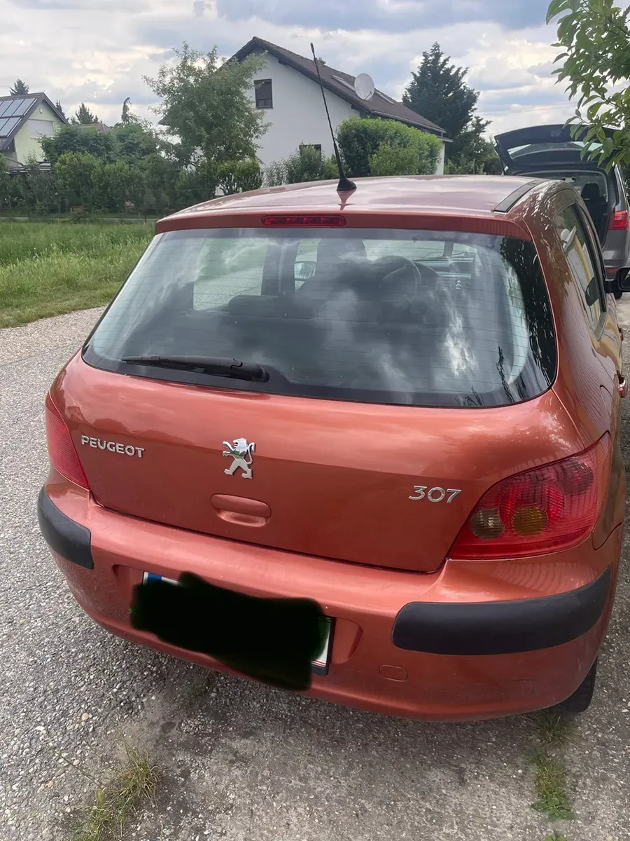 Peugeot 307 2002 photo 3