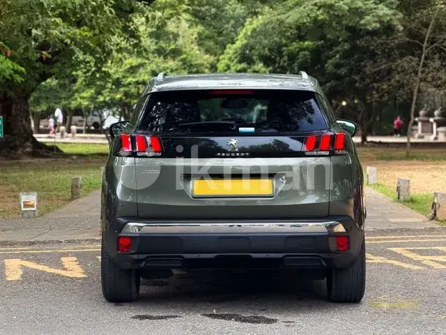 Peugeot 3008 2019 photo 4
