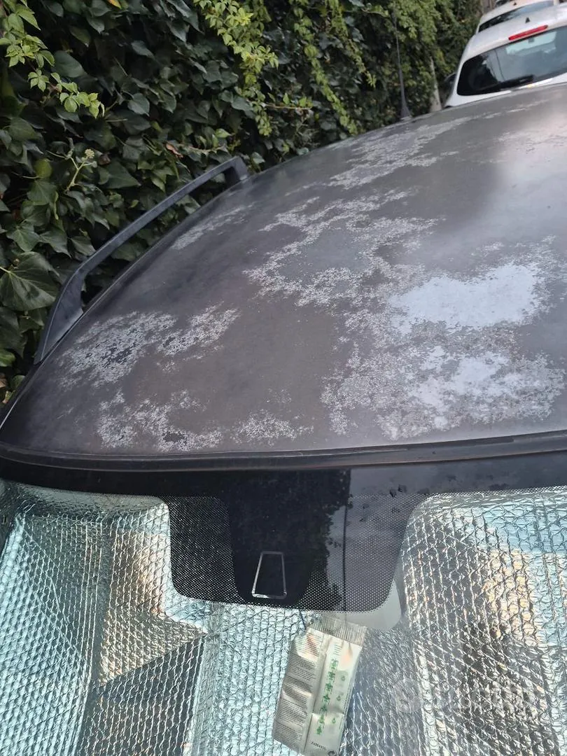 Fiat Panda 2012 photo 5