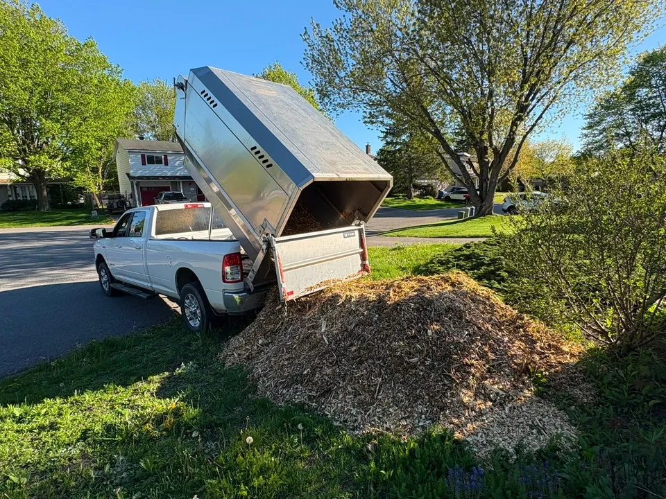 Dodge Ram 2019 photo 2