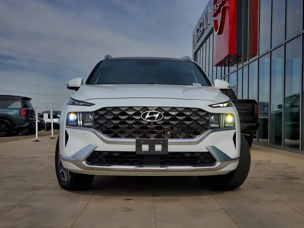 Hyundai Santa Fe 2021 photo 2