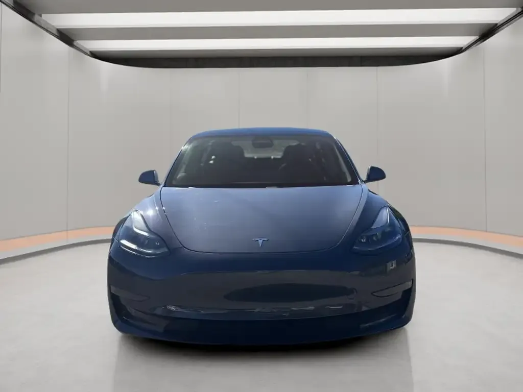 Tesla Model 3 2021 photo 2