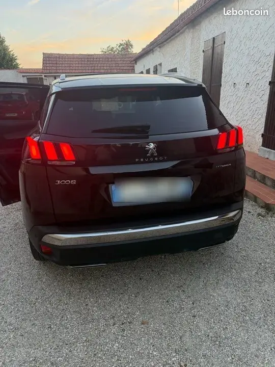 Peugeot 3008 2019 photo 2