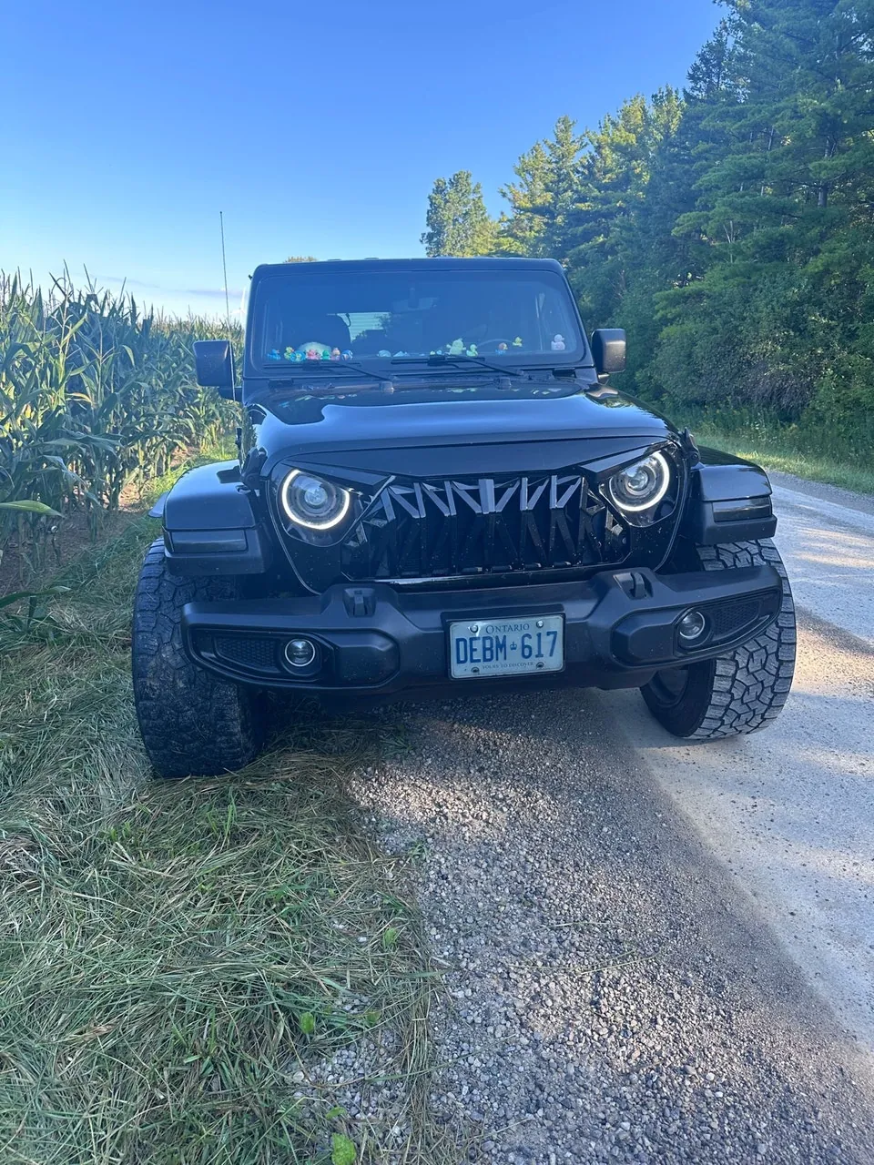 Jeep Wrangler 2021 photo 4