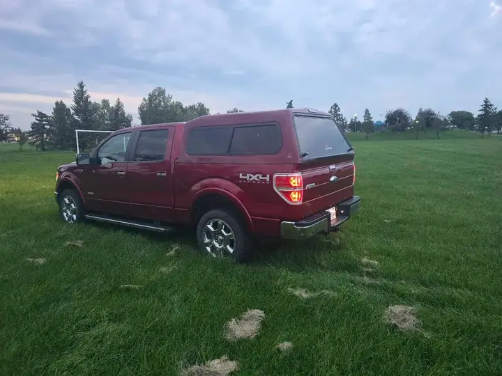 Ford F-150 2014 photo 4