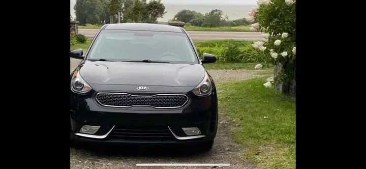 Kia Niro 2019 photo 2