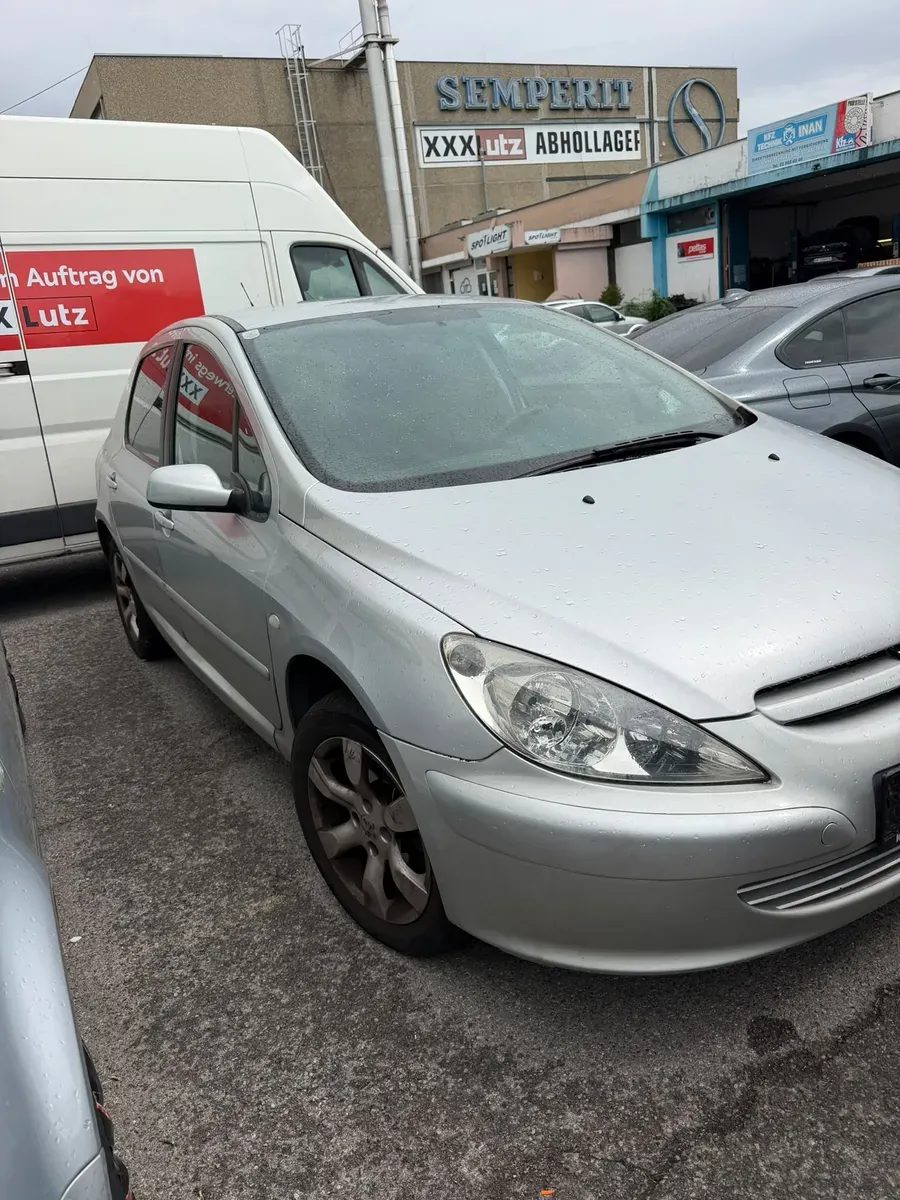Peugeot 307 2004 photo 2